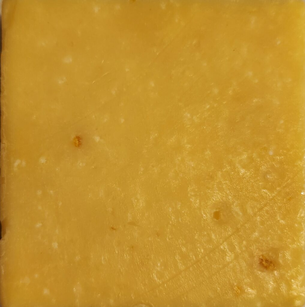 Citrus Forge
